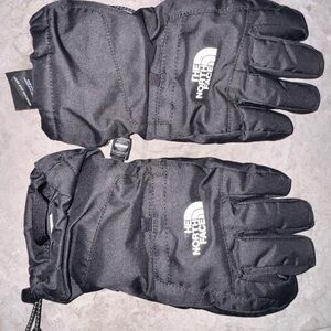 The north face gloves